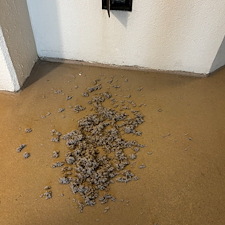 Affordable-Dryer-Vent-Cleaning-in-Gulf-Shores-Alabama 1