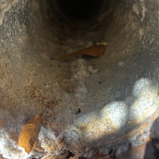 Dryer-Vent-Cleaning-Fairhope-Alabama-1 5