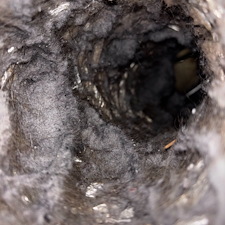 Dryer-Vent-Cleaning-Fairhope-Alabama-2 11