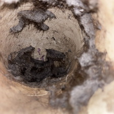 Dryer-Vent-Cleaning-Fairhope-Alabama-2 8