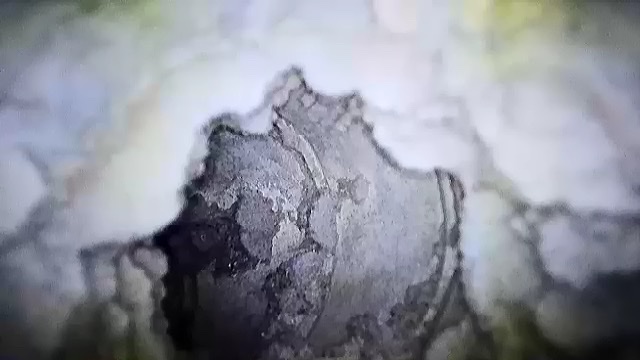 Dryer Vent Cleaning for Safer Home Venting – Mobile, AL Thumbnail