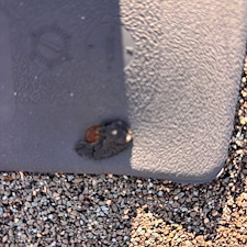Elite-Roof-Repairs-Daphne-Alabama 6