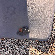 Elite-Roof-Repairs-Daphne-Alabama 5