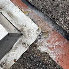 Professional-Dryer-Roof-JAck-Replacement-Fairhope-Alabama 8