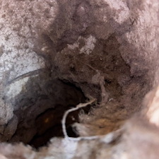 Professional-Dryer-Vent-Cleaning-in-Foley-Alabama 11