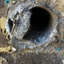 Professional-Dryer-Vent-Cleaning-in-Mobile-ALabama 1