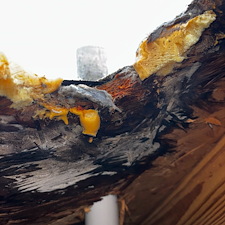 Top-Quality-Dryer-Roof-Jack-Installation-Fairhope-Alabama 1