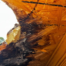 Top-Quality-Dryer-Roof-Jack-Installation-Fairhope-Alabama 13