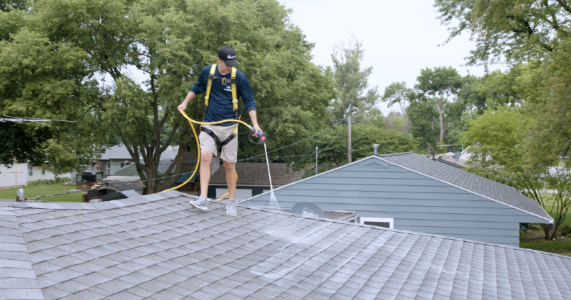 Fresh roof