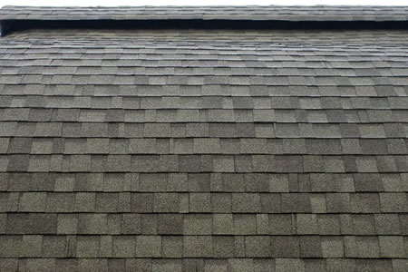Roof Rejuvenation with Fresh Roof